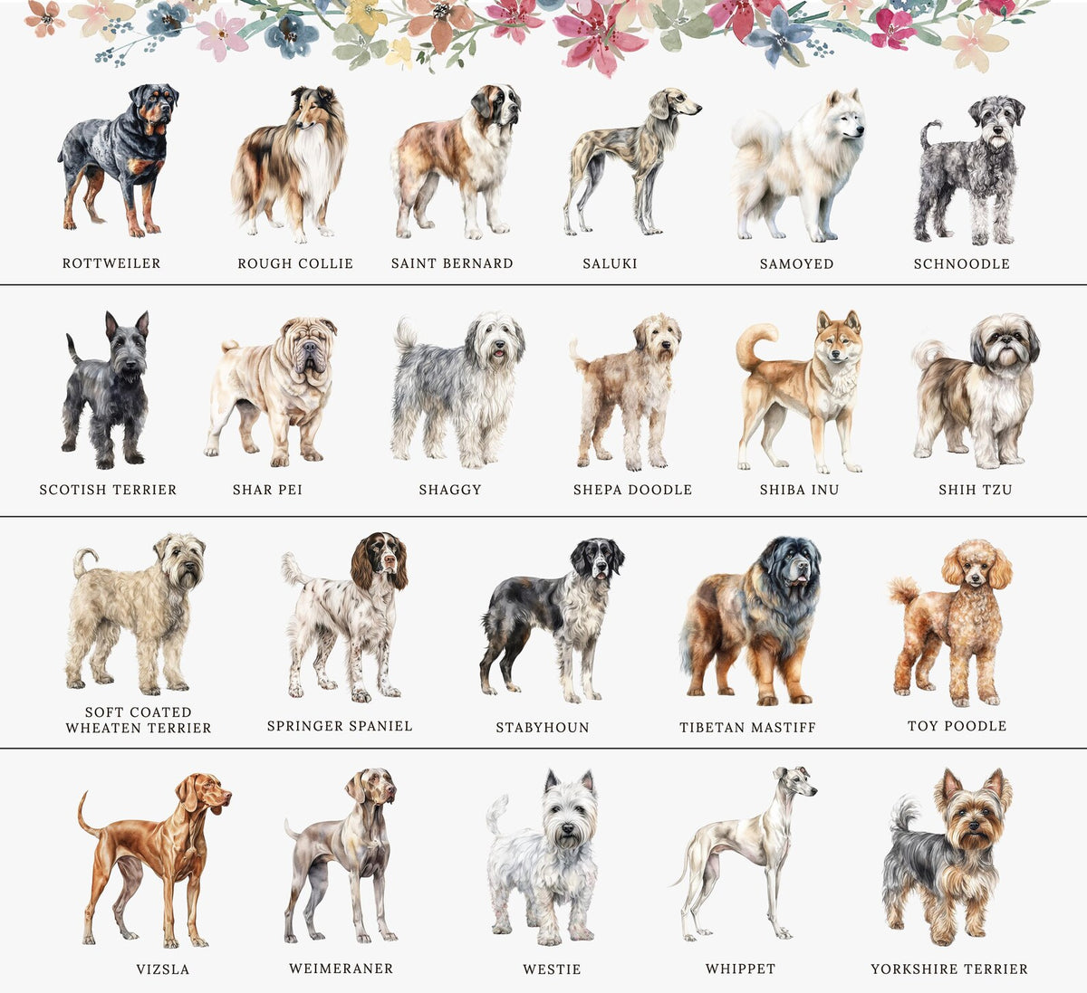 The image is a collage of 16 different dog breeds, each with a unique color and style, arranged in a grid format.
