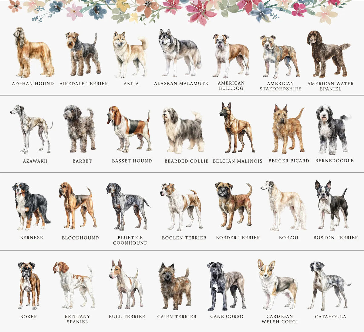 a group of dogs standing next to each other