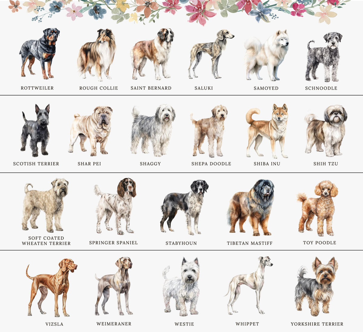 The image is a collage of 16 different dog breeds, each with a unique color and style, arranged in a grid format.