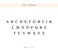 a collection of various font styles and sizes, including the classic A, B, C, D, E, F, G, H, I, J, K, L, M, N, O, P, Q, R, S, T, U, V, W, X, Y, Z, and some other less common styles. The image showcases a diverse range of font options, highlighting the versatility and variety of font styles available for different purposes and designs.