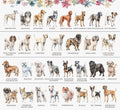 The image is a collage of various dog breeds, each with a unique illustration and name. The collage includes breeds such as Greyhound, Harness, Husky, Irish Setter, Irish Wolfhound, Jack Russell, King Charles Spaniel, Labrador Retriever, Labrador Retriever, Lebberger, Long Haired Chihuahua, Maltese, Maltese Miniature American Miniature Pinscher, NewfOUNDLAND, Peekingo, Poodle, Pekingese, Poodle, Pitbull, Pomeranian, Puggle, Rhedgeback, and Pekingese.