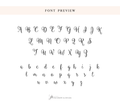 a handwritten font with the letters a, b, and c
