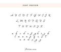 a font preview featuring a variety of cursive font styles, including the alphabet, numbers, and other decorative elements.