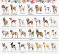 The image is a collage of various dog breeds, each with a unique illustration and description.
