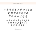 a collection of various font styles and sizes, including cursive and block fonts, arranged in a grid format. The font preview allows viewers to see the different styles and sizes of the fonts, without providing any additional information beyond that.