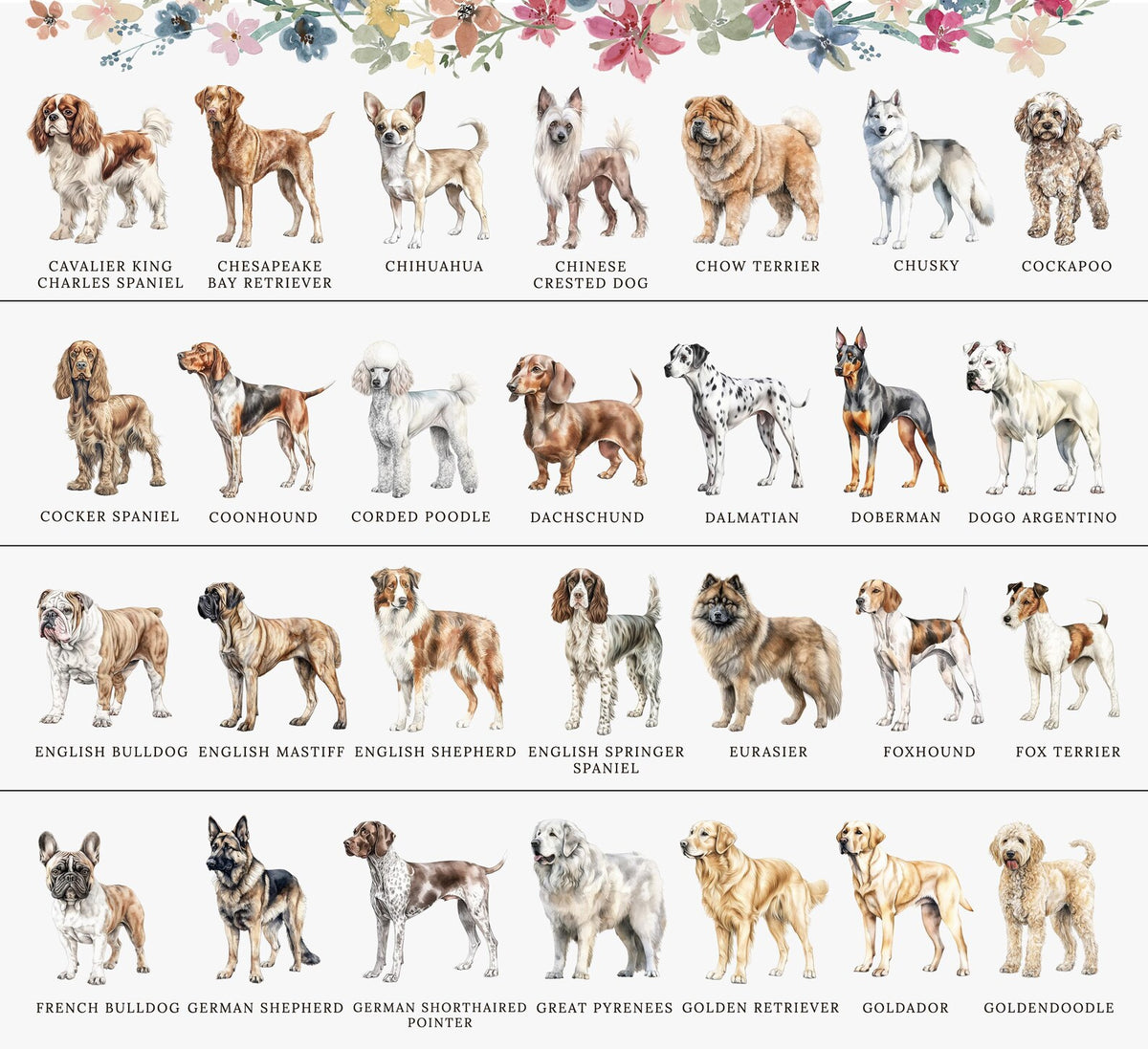 The image is a collage of various dog breeds, each with a unique illustration and name.