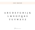 a font preview that showcases a variety of font styles, including uppercase and lowercase letters, as well as numbers and punctuation marks.